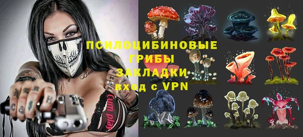 Альфа ПВП Алексеевка