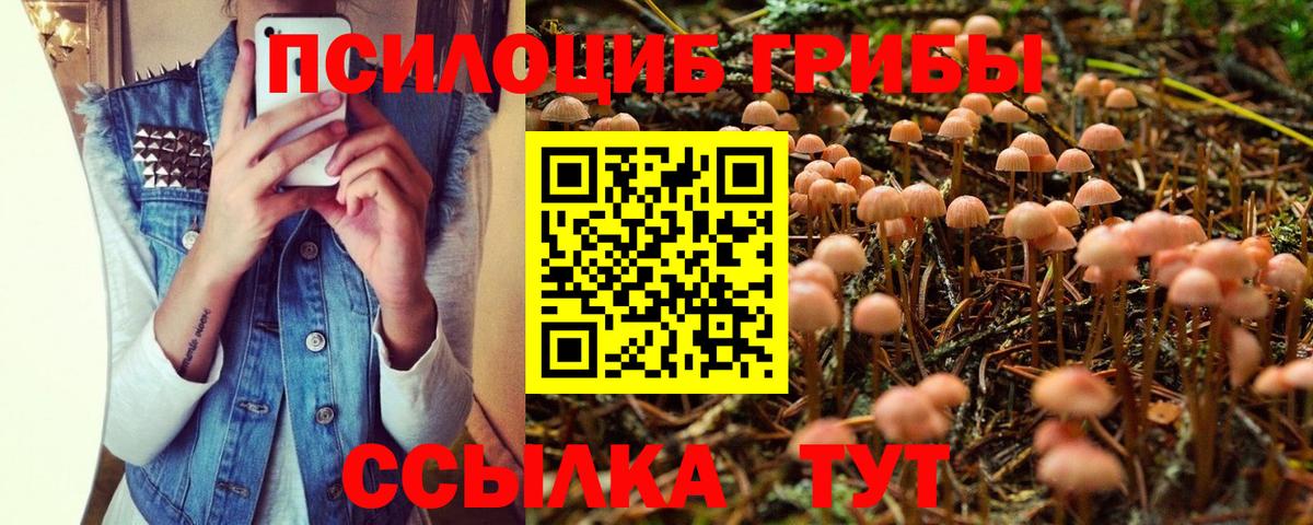 Южно-Сахалинск  Галлюциногенные грибы Psilocybine cubensis  Вход с VPN  Галлюциногенные грибы Psilocybe 